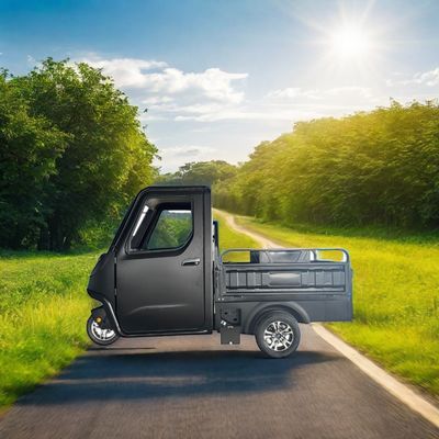 Факультативные 1000/1200/2000/3000W электрические трехколесные велосипеды для семейных трехколесных электровелосипедов и педикабов