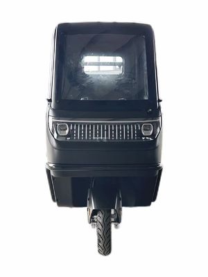 Факультативные 1000/1200/2000/3000W электрические трехколесные велосипеды для семейных трехколесных электровелосипедов и педикабов