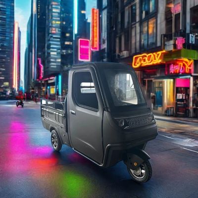 Факультативные 1000/1200/2000/3000W электрические трехколесные велосипеды для семейных трехколесных электровелосипедов и педикабов