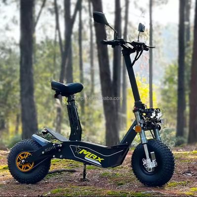 Автомобильный 2000W 3000W Мобильность электрический скутер COC EEC Бесбрюшевый мотор 10дюймовый двигатель Hub Электрический скутер Мотоцикл с CE