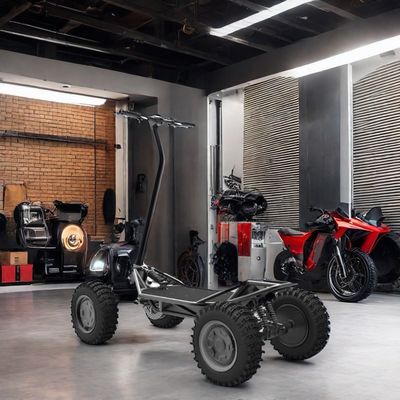 OEM Smart Digital Sensor Electronic Bluetooth 2kw 48V30ah Электрический скутер для внедорожника