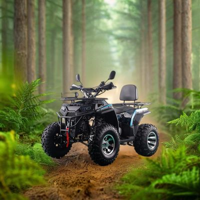 200cc ATV 250cc ATV Adult ATV Quad Bike с цепным приводом и 1000W электрическим пульсом старта