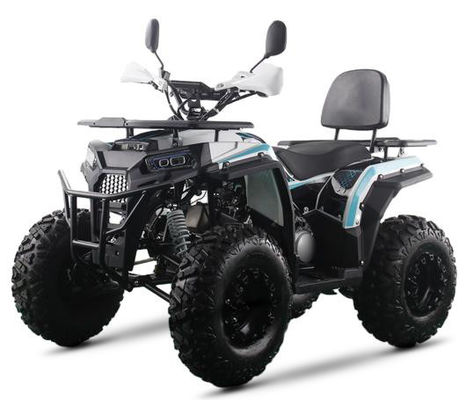 200cc ATV 250cc ATV Adult ATV Quad Bike с цепным приводом и 1000W электрическим пульсом старта