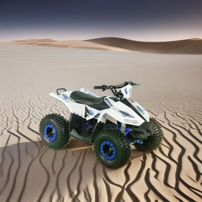 2024 Подростки 4x4 1000W 48V 1200W Электрический вал Движимый квадроциклом Электрический квадроцикл