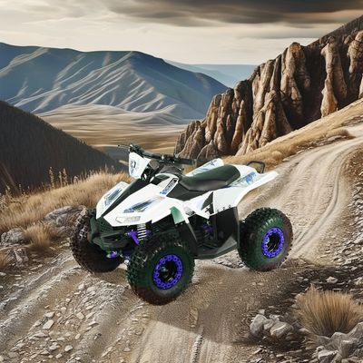 Kids Electric ATV Quad Bike с колесной базой 600-1000 мм и общим размером 1250x760x800 мм