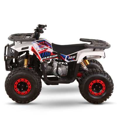 CE сертифицированный газовый Детский квадроцикл 110cc 125cc ATV Четырехколесный с цепным приводом