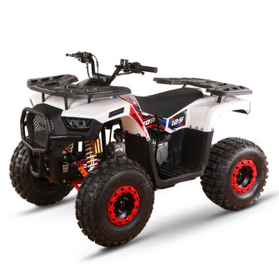 CE сертифицированный газовый Детский квадроцикл 110cc 125cc ATV Четырехколесный с цепным приводом