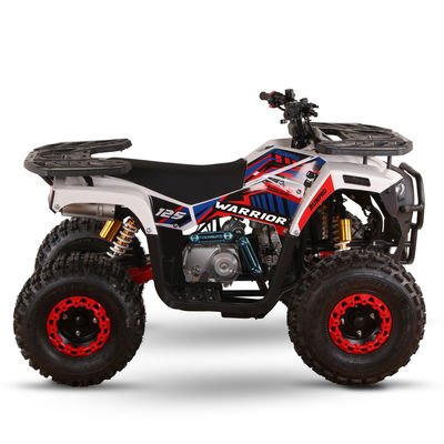 CE сертифицированный газовый Детский квадроцикл 110cc 125cc ATV Четырехколесный с цепным приводом