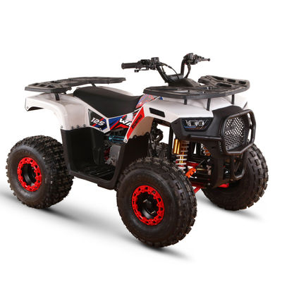 125cc Четырехколесный велосипед для внедорожных приключений Максимальная скорость 50-75 км/ч 1 цилиндр