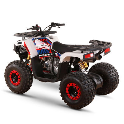 125cc Четырехколесный велосипед для внедорожных приключений Максимальная скорость 50-75 км/ч 1 цилиндр