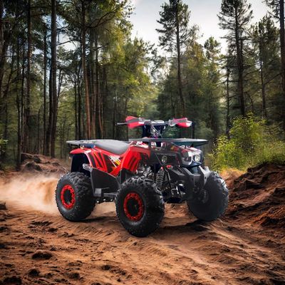 Мощные квадрокоптеры на бензиновом топливе 125cc с 2WD типом вождения и интересными характеристиками