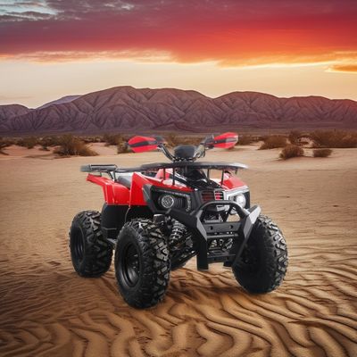 Мощный 200cc газ ATV для взрослых Максимальный крутящий момент 40-60Nm и максимальная скорость 75 км / ч