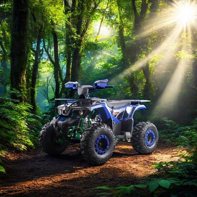 Взрослые дети Сталь 2WD 12V электрический ручной цепной привод с обратной передачей 125cc автоматические квадрокоптеры