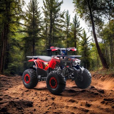 Взрослые дети Сталь 2WD 12V электрический ручной цепной привод с обратной передачей 125cc автоматические квадрокоптеры