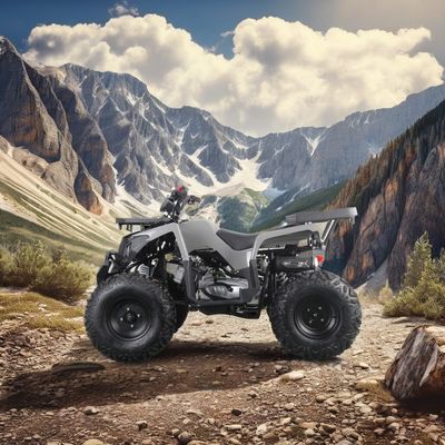 2024 Runpro 10 дюймовая стальная шина 200cc квадрокоптер с светодиодным освещением
