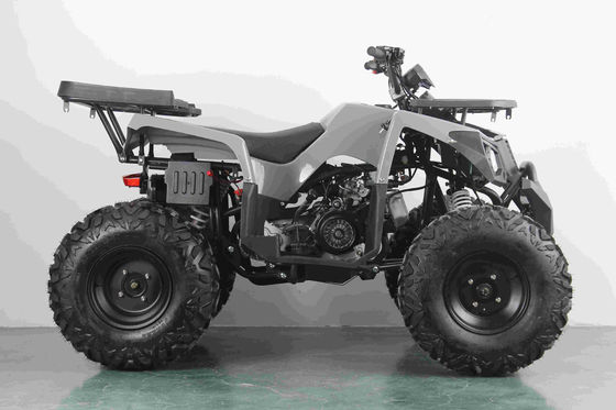 Внедорожный 10-дюймовый шина 200cc 250cc взрослый квадроцикл с автоматическим стартом и цепным приводом