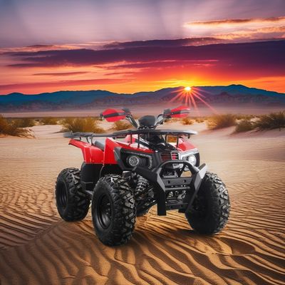 Внедорожный 10-дюймовый шина 200cc 250cc взрослый квадроцикл с автоматическим стартом и цепным приводом