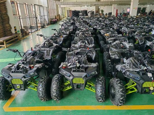 RUNPRO 200CC ATV Quad Bike для взрослых Электрический пуль старт и автоматическая трансмиссия