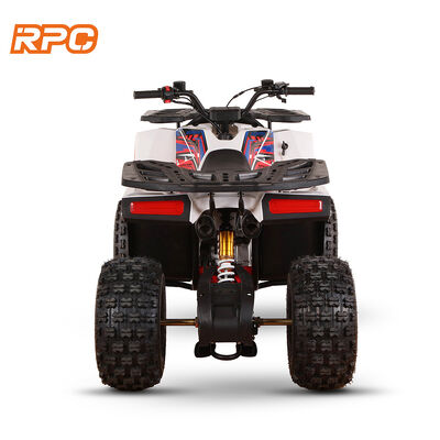 110cc 125cc 150cc 4-тактный газовый детский квадроцикл ATV для автоматической трансмиссии