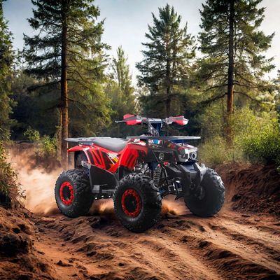 125cc ATV для детей RunPro 2024 Электрический старт Ферма Четырехколесный Велосипед цепный привод CE Автоматический