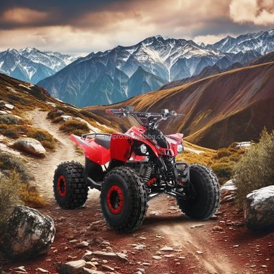 Электрический детский квадроцикл ATV с сертификатом CE с мотором мощностью 1500 Вт и свинцово-кислотным аккумулятором мощностью 48 В12 АГ
