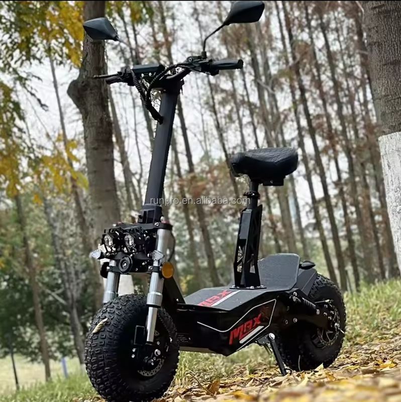 Автомобильный 2000W 3000W Мобильность электрический скутер COC EEC Бесбрюшевый мотор 10дюймовый двигатель Hub Электрический скутер Мотоцикл с CE