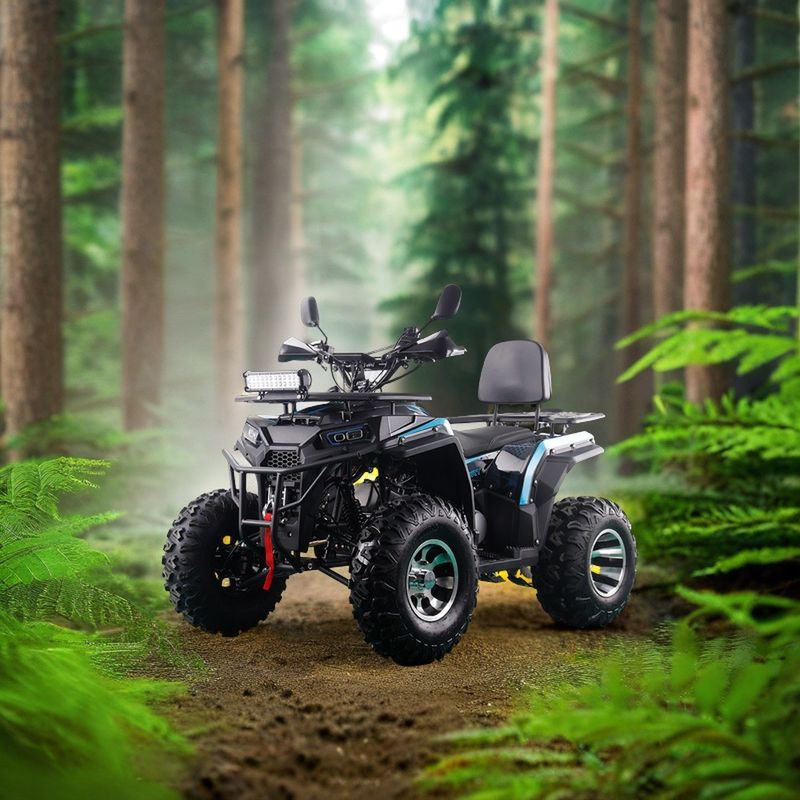200cc ATV 250cc ATV Adult ATV Quad Bike с цепным приводом и 1000W электрическим пульсом старта