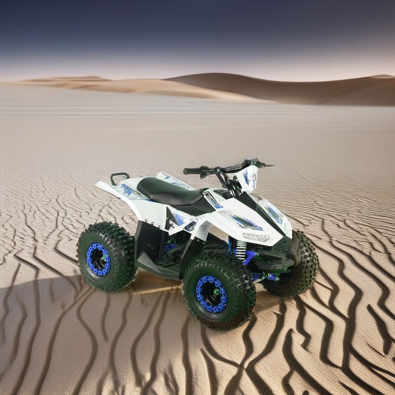 2024 Подростки 4x4 1000W 48V 1200W Электрический вал Движимый квадроциклом Электрический квадроцикл