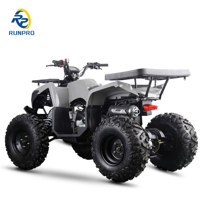 200cc 10дюймовое стальное колесо 2WD ATV Off Road Четыре колеса Мотоцикл UTV Ферма Мотор квадроцикл
