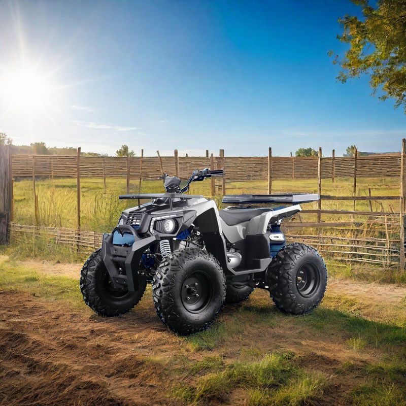 Мощный 200cc газ ATV для взрослых Максимальный крутящий момент 40-60Nm и максимальная скорость 75 км / ч